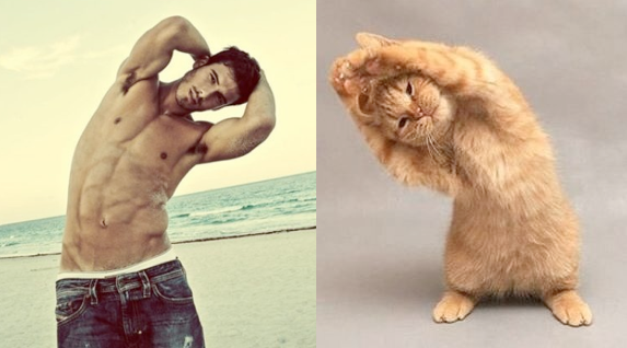 Коты vs Модели