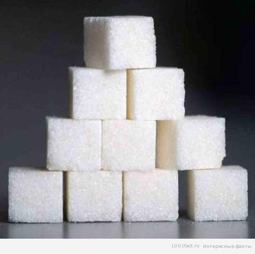 Сахар: интересные факты
