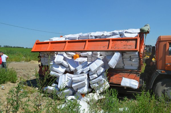 В Белгородской области уничтожили 10 тонн сыра