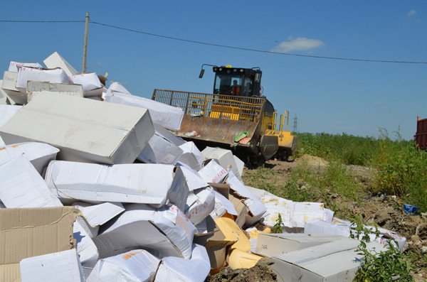 В Белгородской области уничтожили 10 тонн сыра