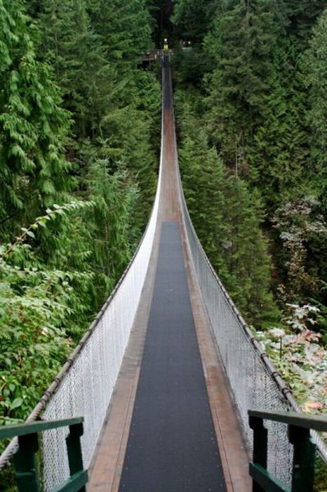 Длинный подвесной мост (22 фото)