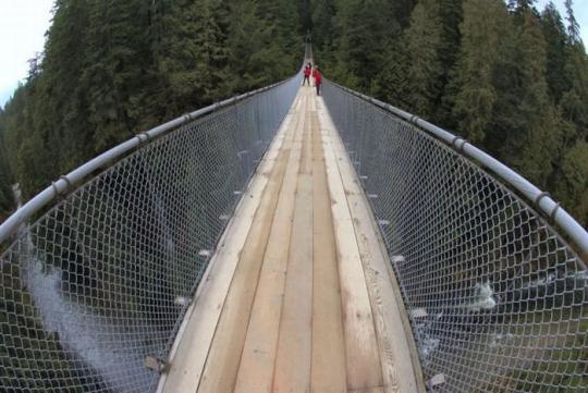 Длинный подвесной мост (22 фото)