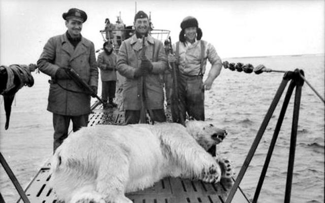 9. Экипаж немецкой подлодки позирует с убитым на Шпицбергене полярным медведем, 1943 год. история, фотографии