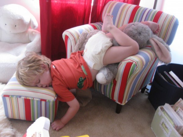 20 доказательств того, что малыши могут уснуть где угодно