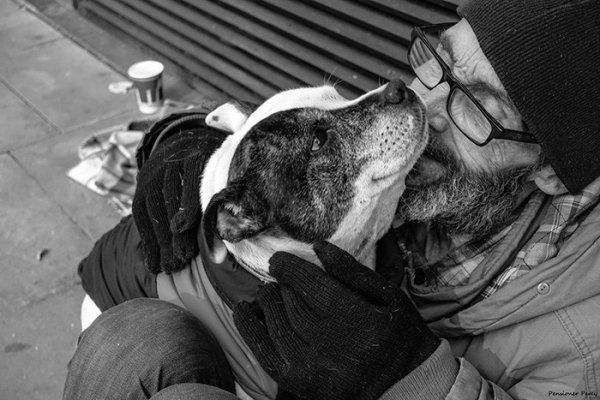 45 фотографий, доказывающих, что собаки любят нас бескорыстно
