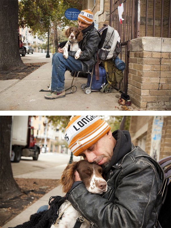 45 фотографий, доказывающих, что собаки любят нас бескорыстно