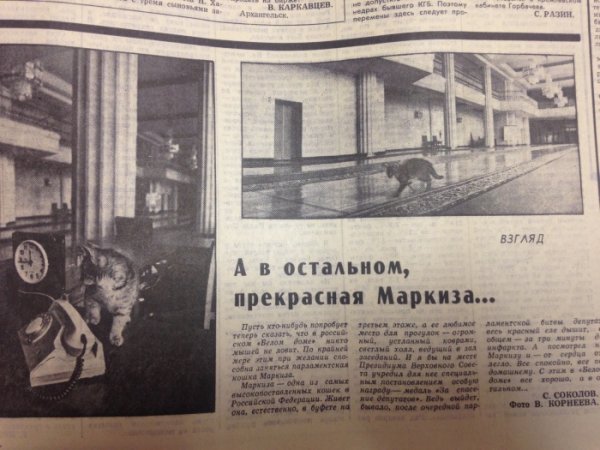 О чем писали отечественные СМИ в последние дни существования СССР