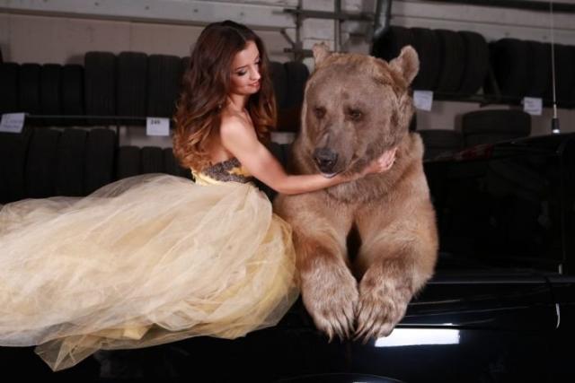 Смелая фотосессия девушки с медведем