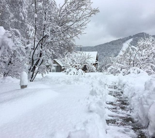 Последствия сильного снегопада в Красноярске