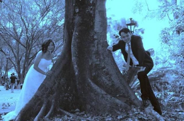 Плохой фотограф испортил свадьбу молодоженам
