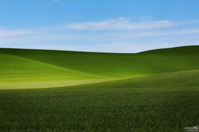 Китайский фотограф Чан Ху случайно переснял известные обои Windows XP