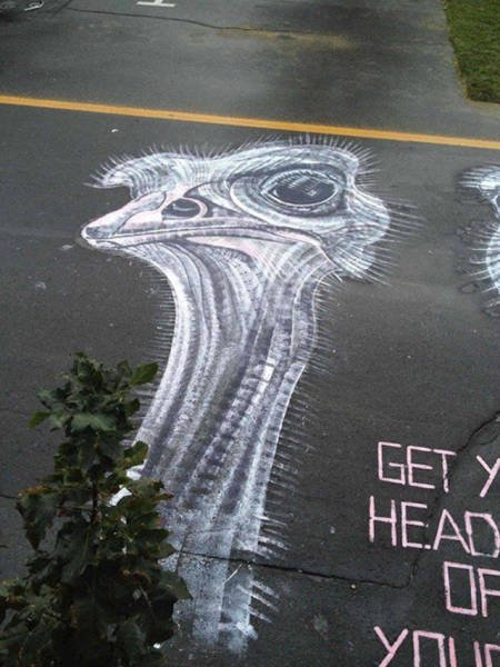 Великолепный стрит-арт на дорогах Монреаля от Питера Гибсона