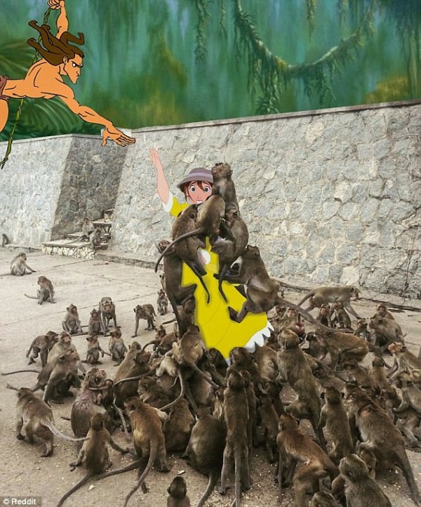 Забавная битва фотошоперов по поводу обезумевших обезьян