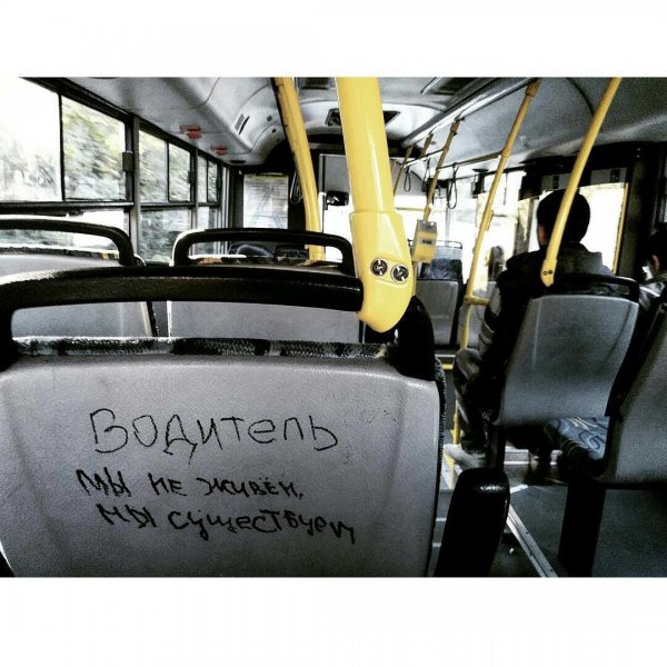 Порция автобусной философии, которая заставляет задуматься