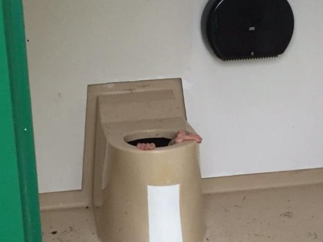 В Норвегии парень полез в общественный туалет за упавшим телефоном