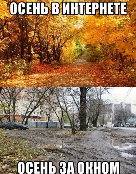 Вот почему осенью лучше уезжать из России