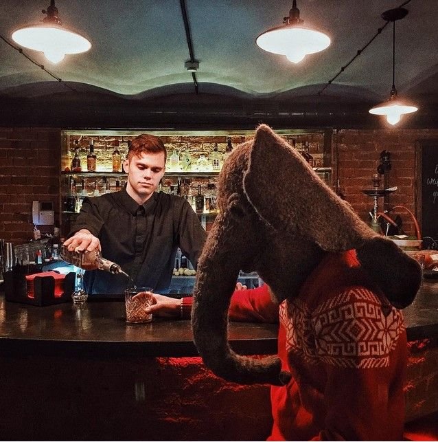 «Пьяный хобот»: человек в маске слона фотографируется в грустных местах России
