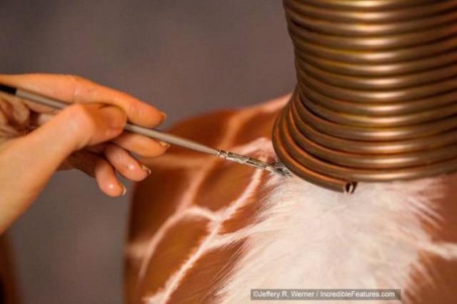 Женщина удлинила шею с помощью медных колец