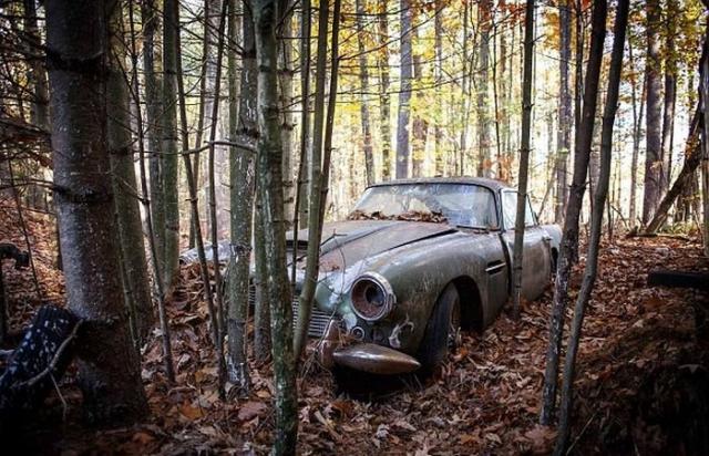 Aston Martin DB4, простоявший 40 лет в лесу, продадут за полмиллиона долларов