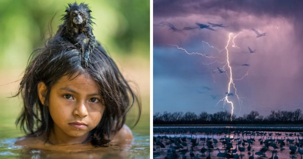 50 лучших снимков года по версии журнала National Geographic