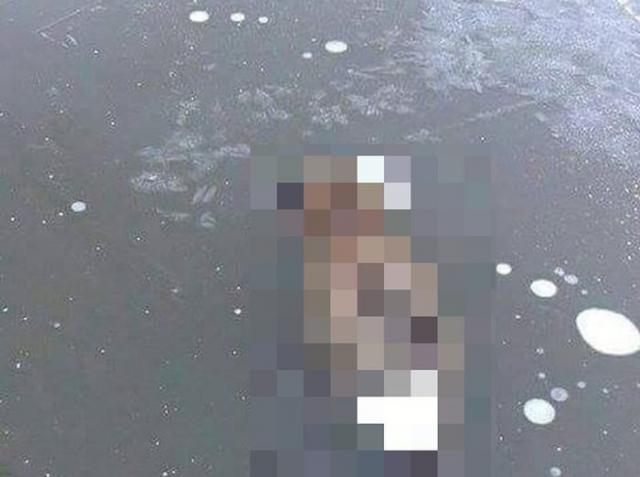 Лиса вмерзла в лед