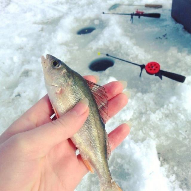 Непередаваемая красота и романтика зимней рыбалки