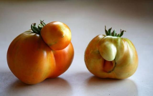Овощи и фрукты причудливой формы