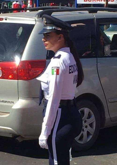 Дорожная полиция Мексики