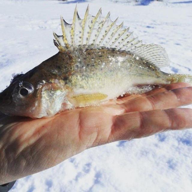 Непередаваемая красота и романтика зимней рыбалки