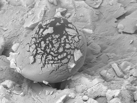 Марсианское «яйцо» доказывает существование жизни на Красной планете