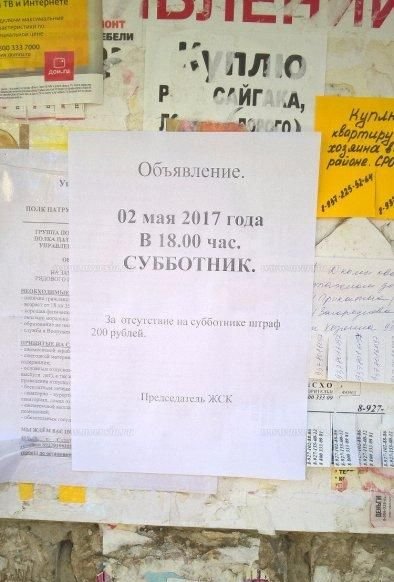 В Саратове жильцов дома оштрафовали за отсутствие на субботнике