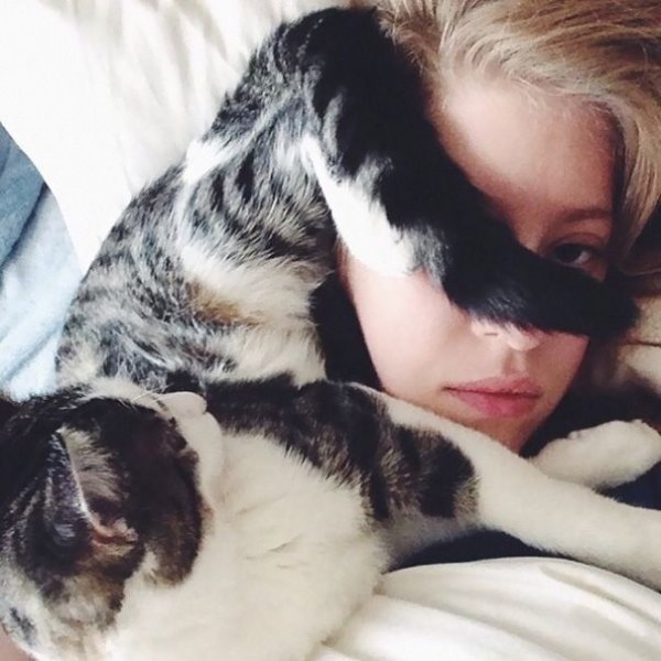20 кошек, которые плевать хотели на твоё личное пространство