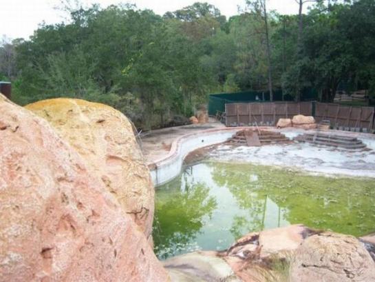 Заброшенный аквапарк в Walt Disney World