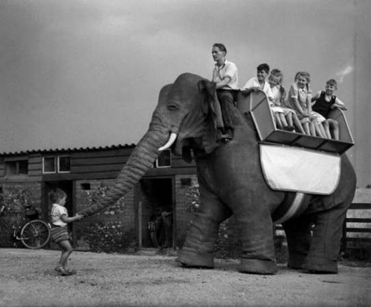 Уникальный робот-слон 50х годов