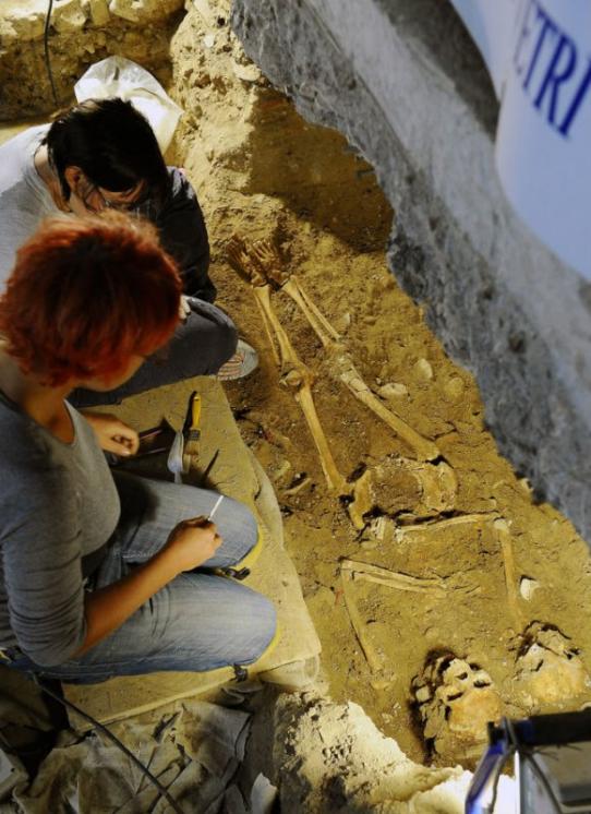 Обнаружены останки Моны Лизы