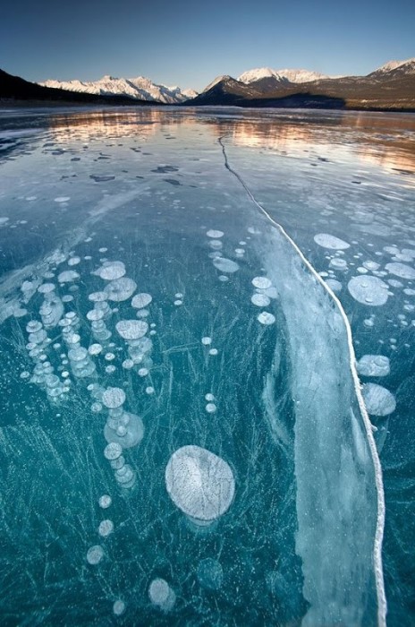 Замерзшие пузырьки воздуха в озере