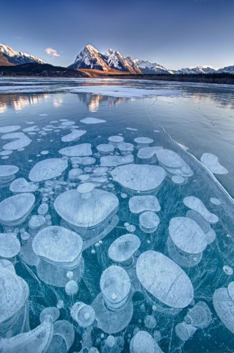 Замерзшие пузырьки воздуха в озере